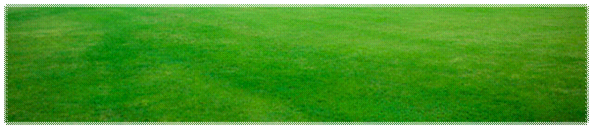 02165010264.jpg